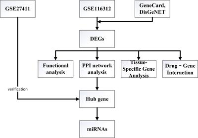 Biomarker identification of chronic atrophic gastritis and its potential drug analysis